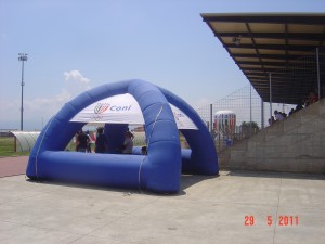DSC00208 (1)